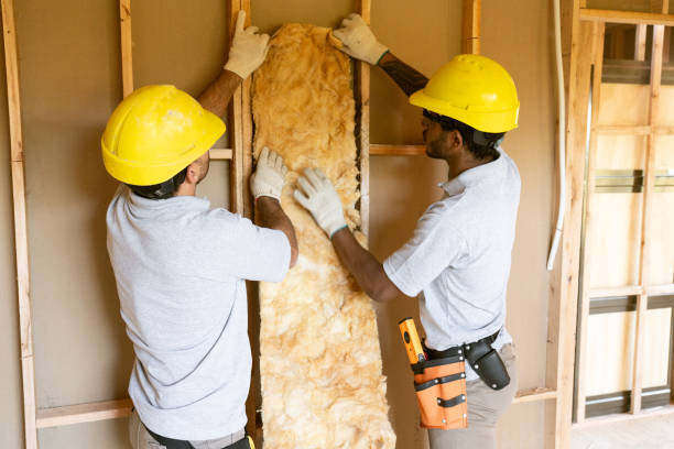 Best Professional Insulation Contractor  in Silver Spring, MD