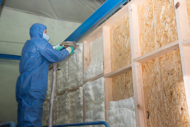 Best Home Insulation Services  in Silver Spring, MD